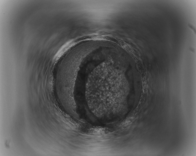 X0000102370295200808081159