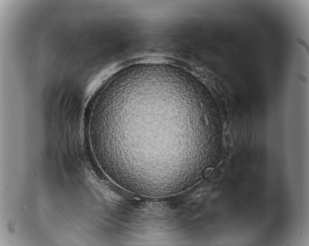 X0000102370296200808081159