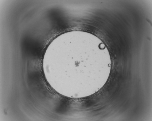 X0000102370297200808081158