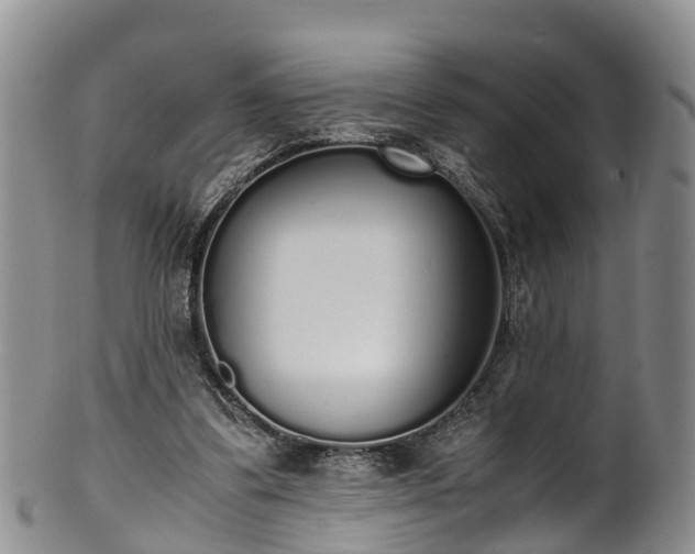 X0000102370299200808081158