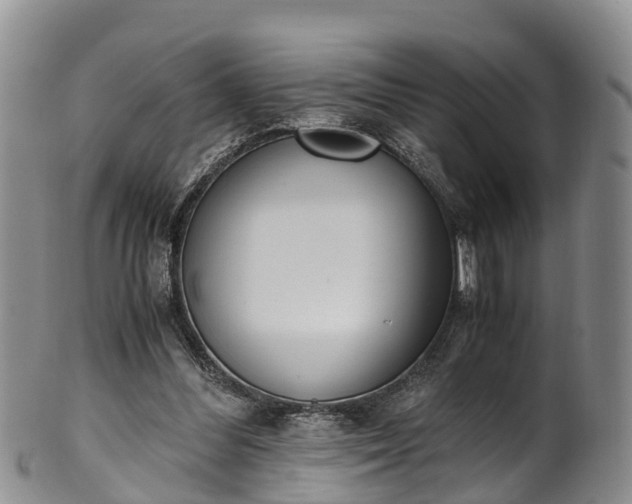 X0000102370300200808081158