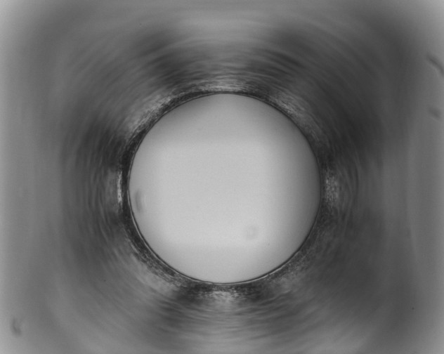 X0000102370302200808081158