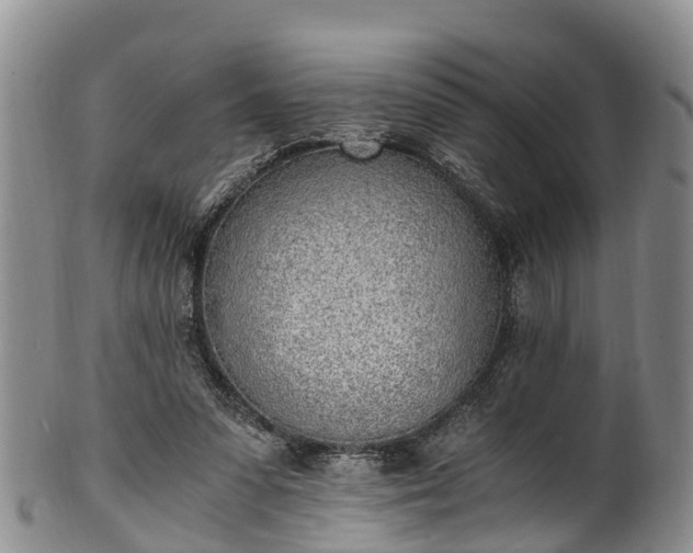 X0000102370303200808081158