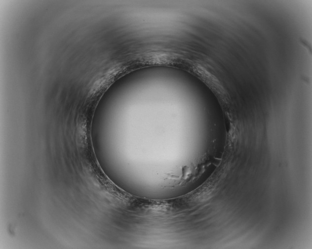 X0000102370306200808081158