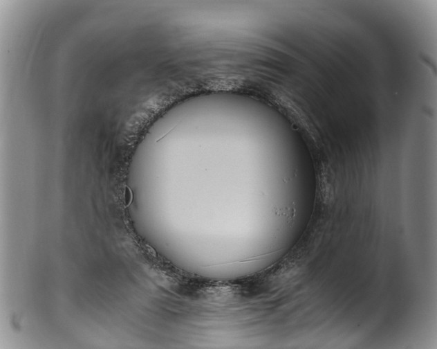 X0000102370307200808081158