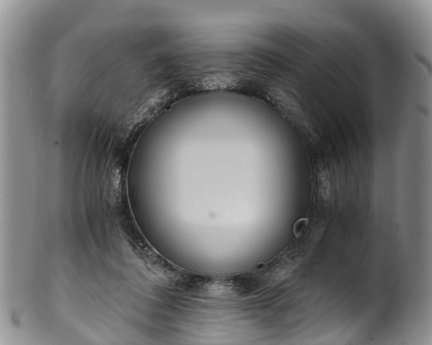 X0000102370308200808081158