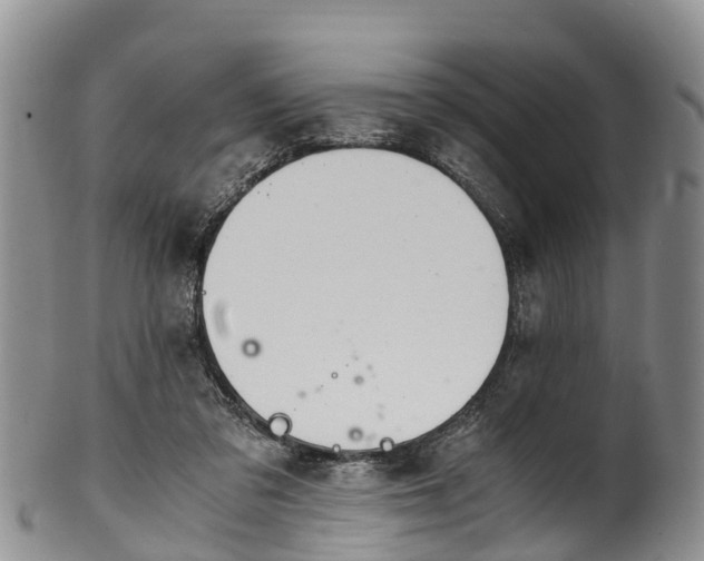 X0000102370309200808081158