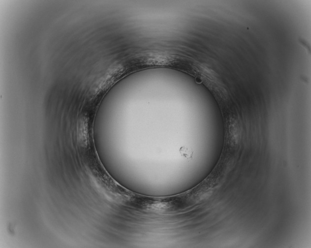 X0000102370312200808081158