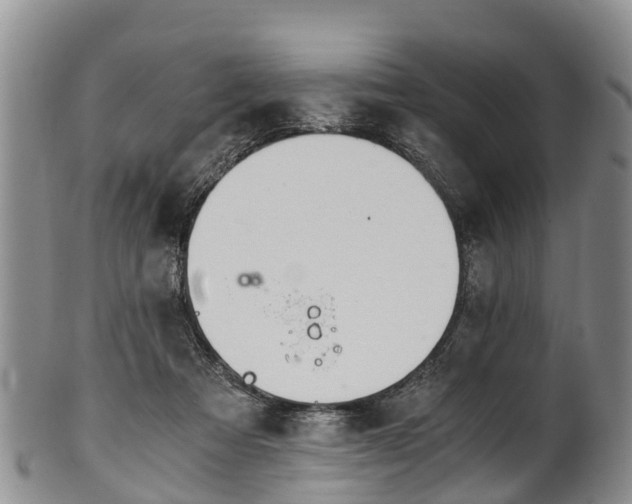 X0000102370313200808081158