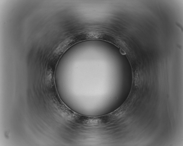 X0000102370314200808081158