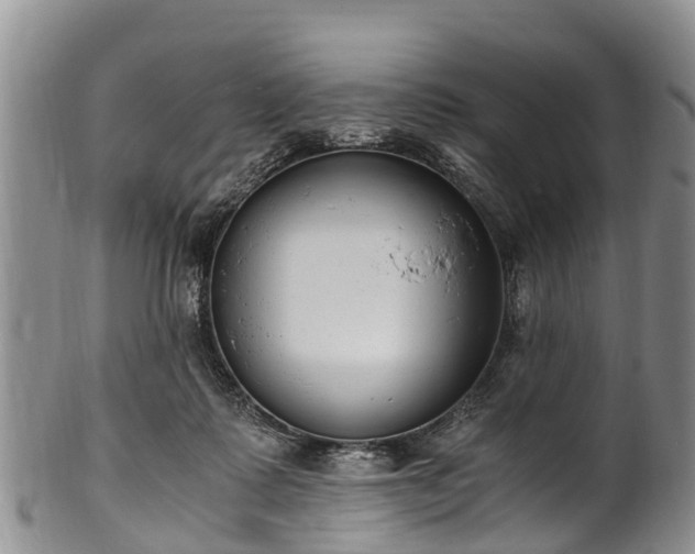 X0000102370315200808081158