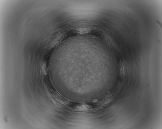 X0000102370316200808081158