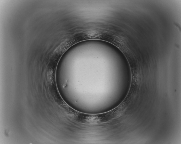 X0000102370319200808081158