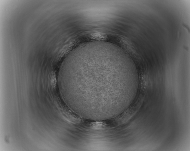 X0000102370320200808081158