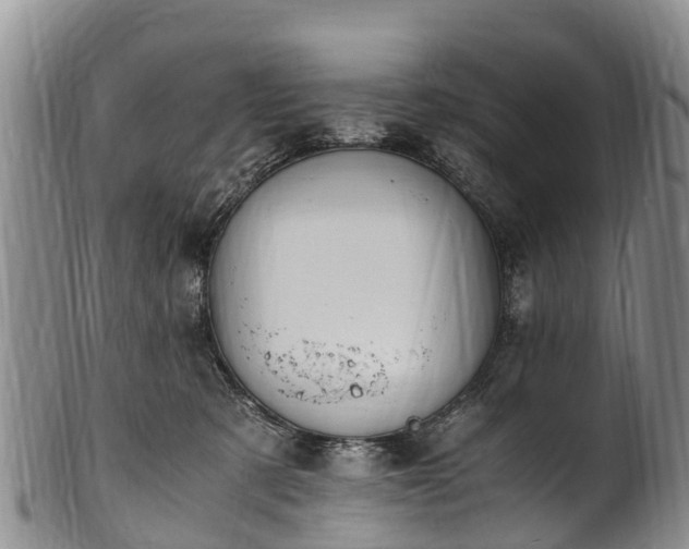 X0000102370321200808081158