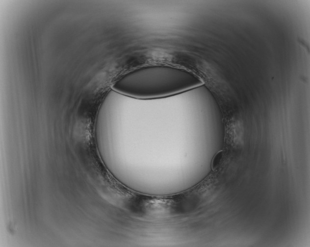 X0000102370323200808081158