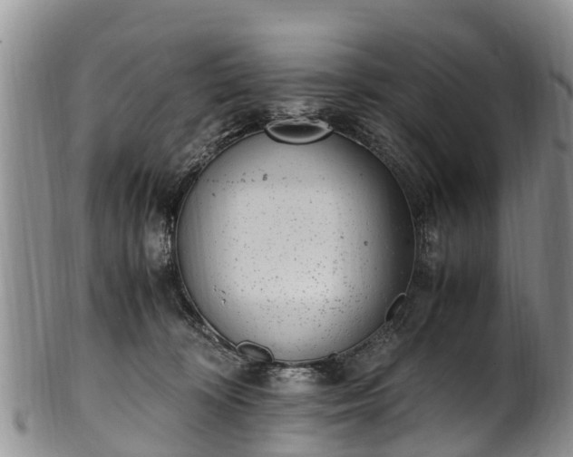 X0000102370324200808081158