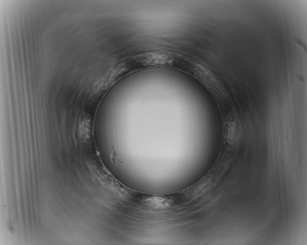 X0000102370326200808081158