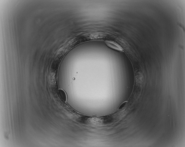 X0000102370327200808081158