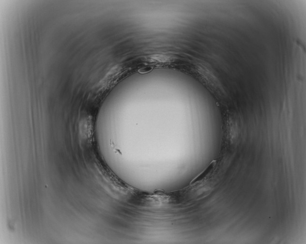 X0000102370328200808081158