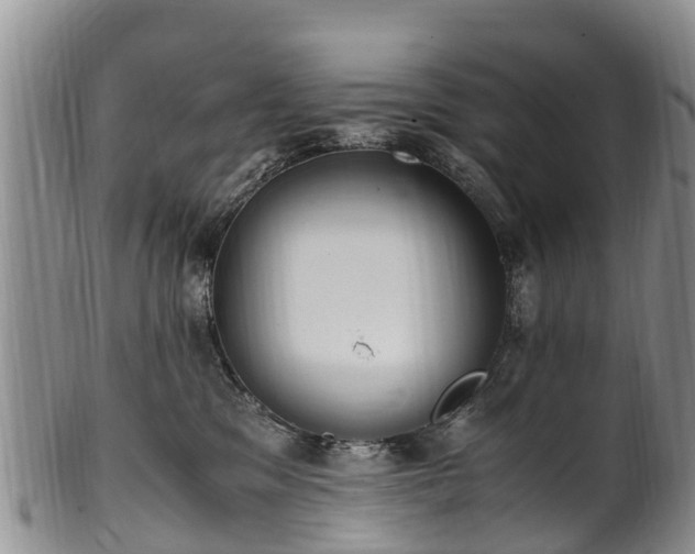 X0000102370329200808081158