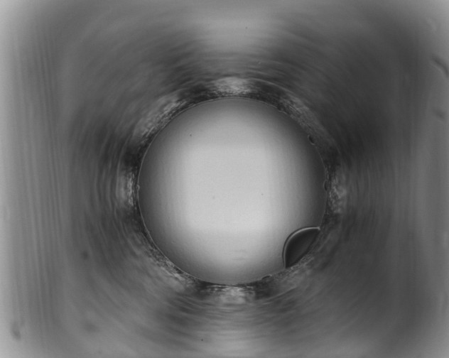 X0000102370330200808081158