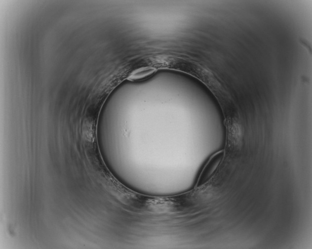 X0000102370331200808081158