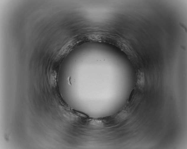 X0000102370332200808081158