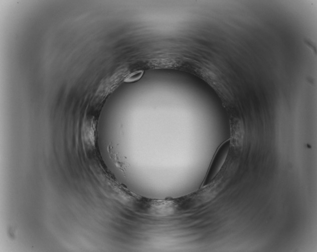 X0000102370334200808081158