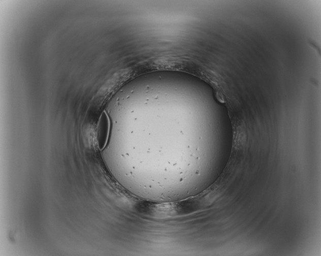 X0000102370335200808081158