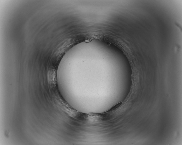 X0000102370336200808081158