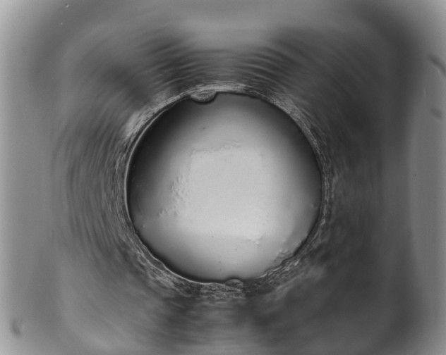 X0000102370337200808081157