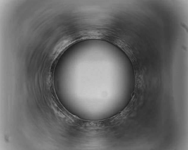 X0000102370338200808081157