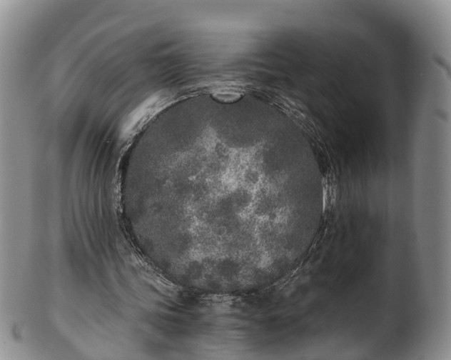 X0000102370339200808081157