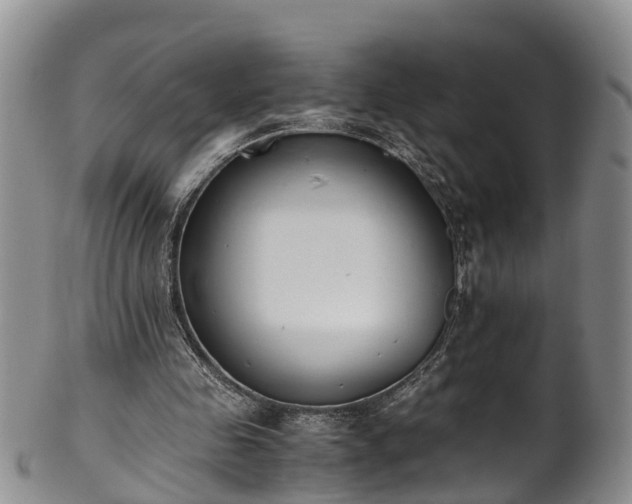 X0000102370341200808081157