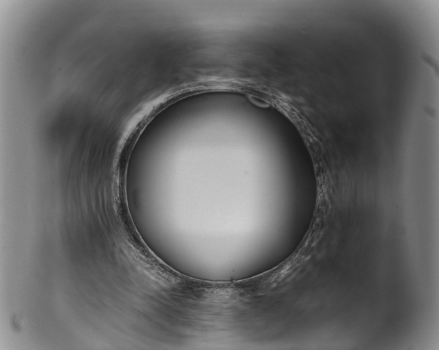 X0000102370342200808081157