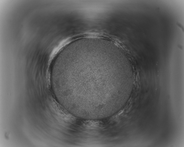 X0000102370343200808081157