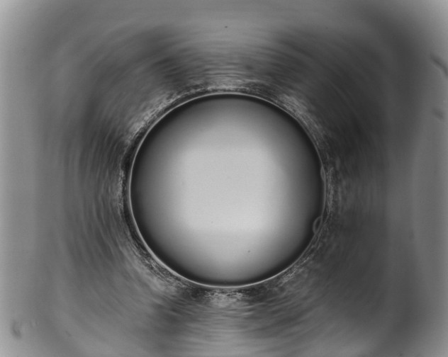 X0000102370346200808081157