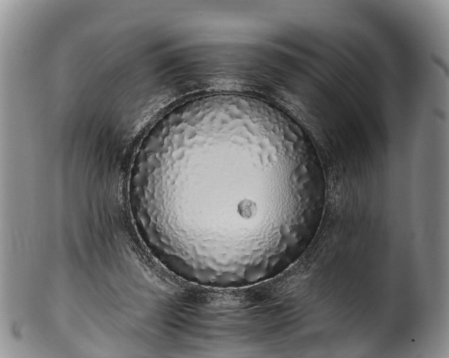 X0000102370347200808081157