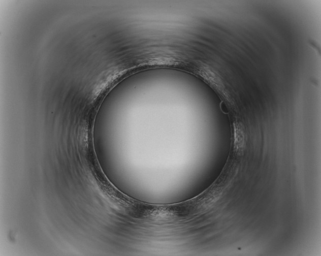 X0000102370348200808081157