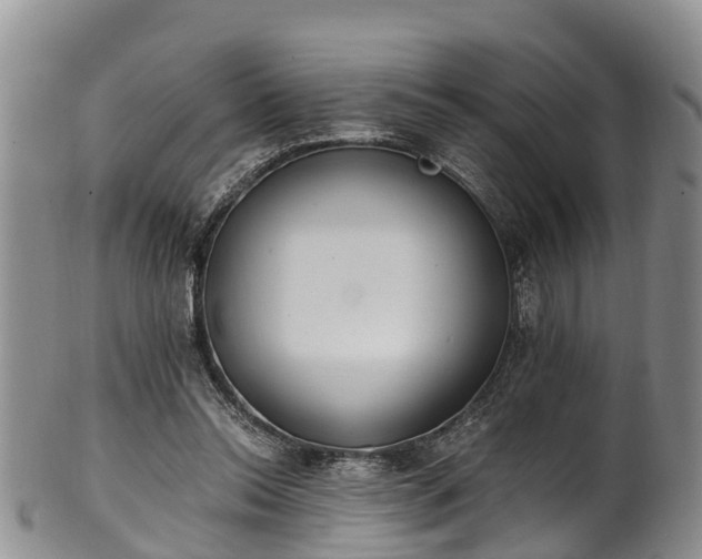 X0000102370350200808081157