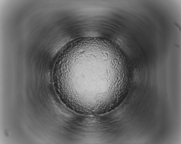 X0000102370351200808081157