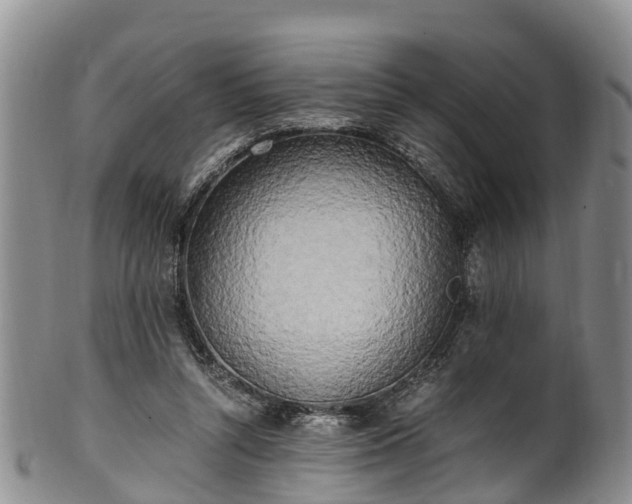 X0000102370352200808081158