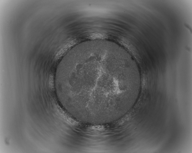 X0000102370353200808081158