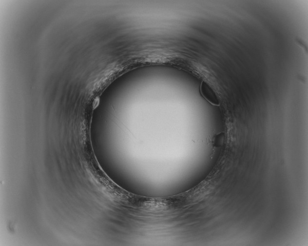 X0000102370354200808081158