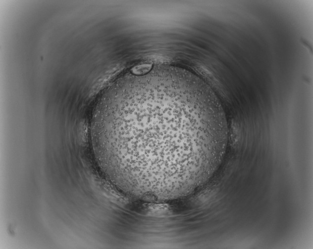 X0000102370355200808081158