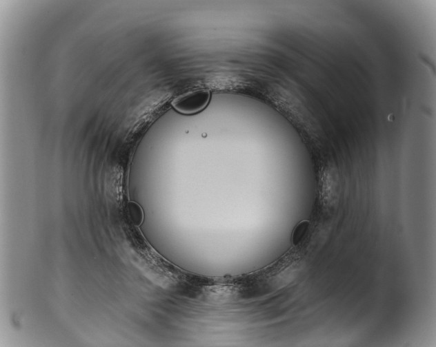 X0000102370356200808081158