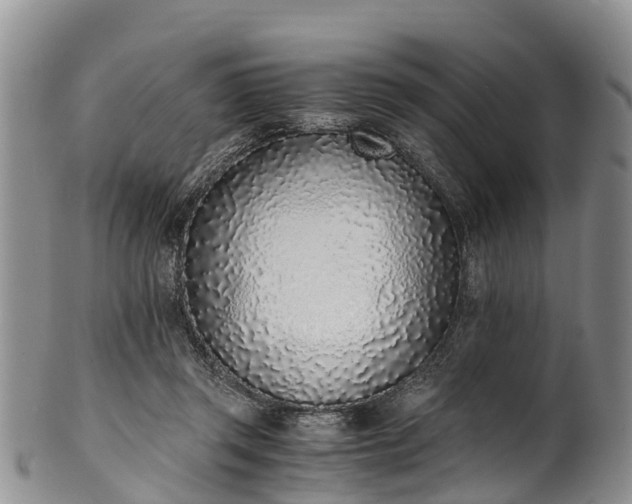 X0000102370357200808081158