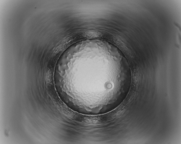 X0000102370359200808081158