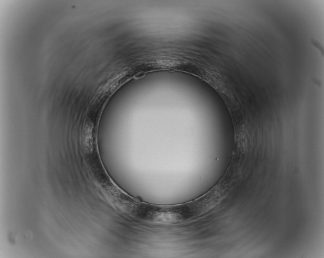 X0000102370360200808081158